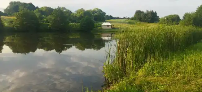 Бояринцево - 28