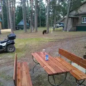 Сказка - 4