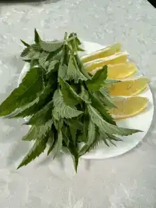 Аист - 36