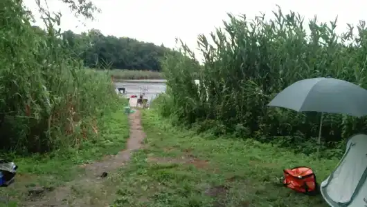 Даль - 46