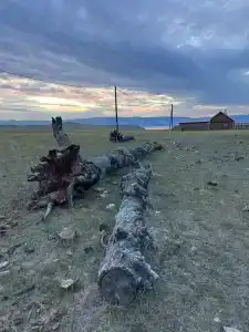 Байкал-Бабр - 58