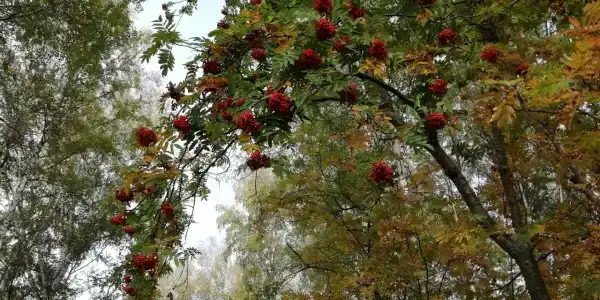 Гостевой дом на Орловской - 24