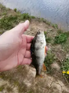 Отдых у реки - 27