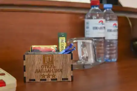 Бизнес отель Лапландия - 30