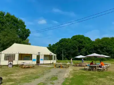 Бояринцево - 47