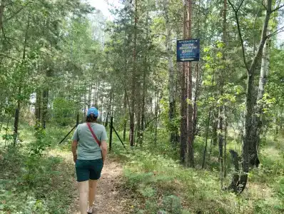 Лесная - 4