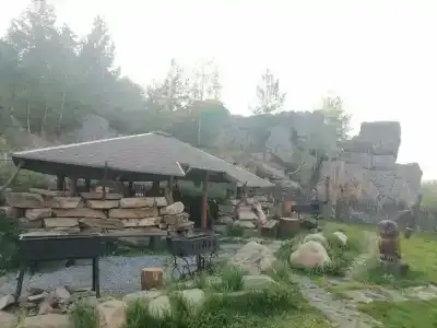 Тайга - 70