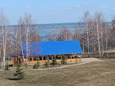 Мечта - 46