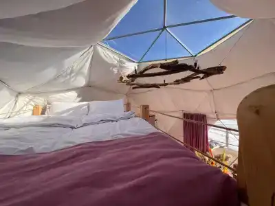 Glamping Park - 65