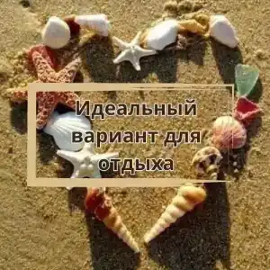 Золотари 5+ - 4