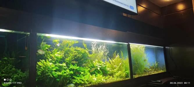 Горизонт - 50