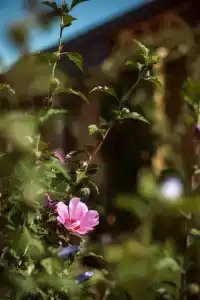 Усадьба Дивноморье - 90