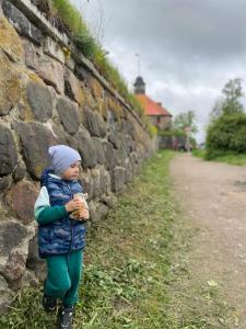 Хутор Ярви - 80