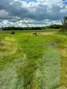 Паллада пастораль - 20