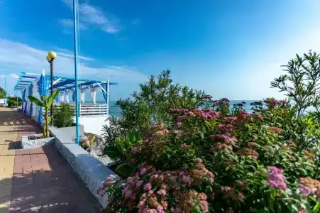 Элизабет - 36