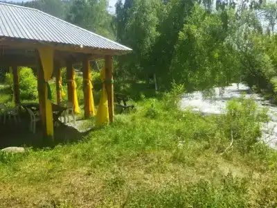 Алтын - 19