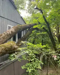 Затерянный рай - 42