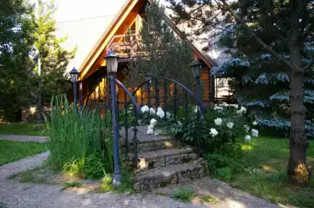 Рузмарин - 2