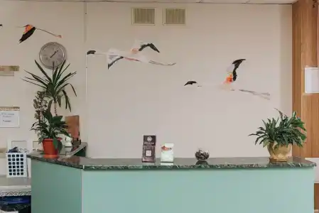 Фламинго - 18