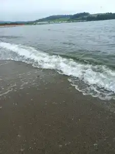 Зелёная полянка - 31