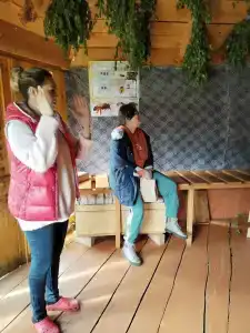 Пасека 13 - 62