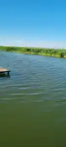 13 кордон - 95