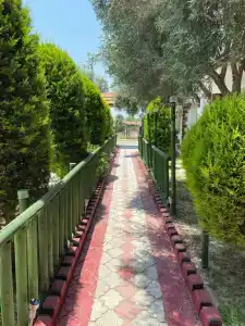 Pinar - 1