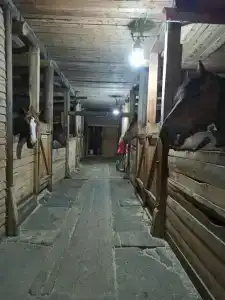 Конная база в Михайловском - 13