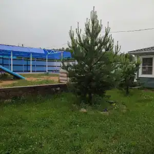 Скандинавия - 30