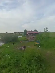 Золотая рыбка - 24