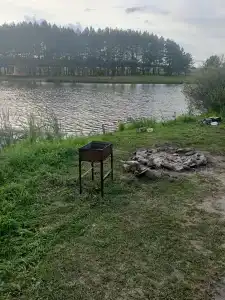 Золотая рыбка - 35