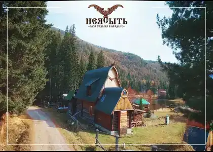 Неясыть - 7