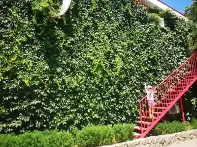 Пансионат Дельта - 23