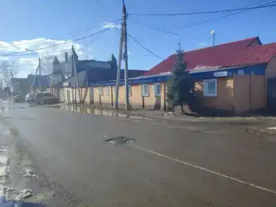 Патрина - 3