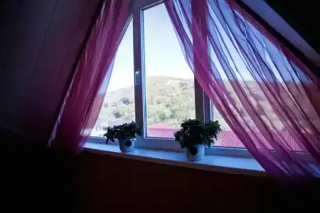 Апельсин - 10