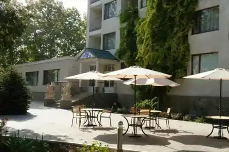 Мечта Тея - 4