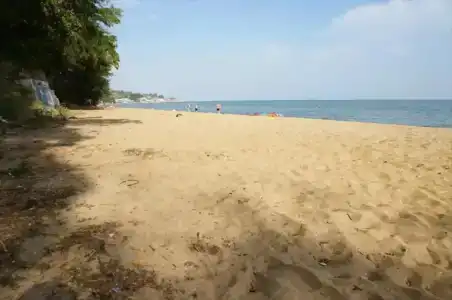 Мечта Тея - 5