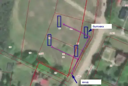 Смородина - 30