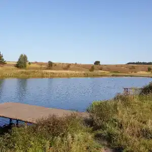 Золотая рыбка - 9