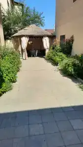 Oasis - 8