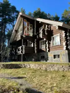 Карнавал - 46