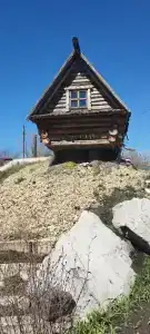 Рябинка - 6