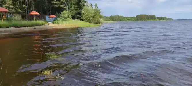 Стёпаново - 21