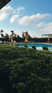 Ibis Istanbul Zeytinburnu - 49