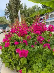 Utopia Beach Club - 97