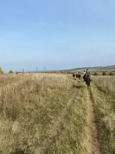 Конная база в Михайловском - 80