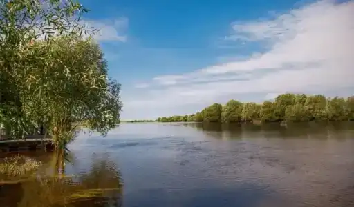 Фишка - 16