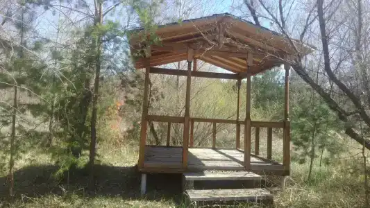 Саввино - 2