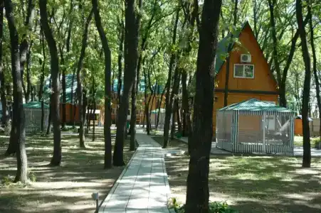 Дубрава - 36