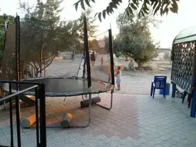 Дельфин - 1